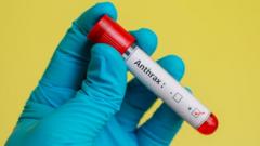 Anthrax disease