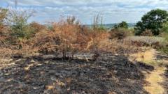 Park Hall Country Park: Appeal Over Deliberate Fires