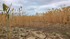 Driest July on record for England and Wales 