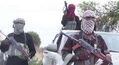 How Did Boko Haram's Overnight Attack Claim 60 Lives in a Nigerian Village?