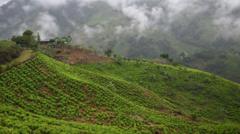 What Happened to the Dozens of Soldiers Taken in the Colombian Mountains?