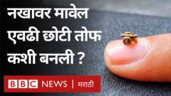 तोफ