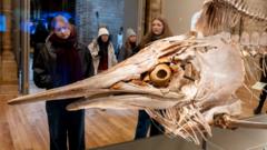 Natural History Museum takes top spot as UK's most popular attraction - beating rivals for first time