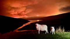 Pictures show 'frightening' wildfires at Welsh beauty spot