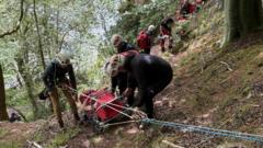 Injured climber found 'by chance' after fall