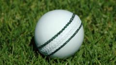 IPL will allow bowlers to use saliva to shine ball