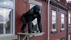 'Why should I remove my gorilla? It's not hurting anyone'