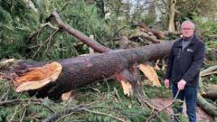 Botanic Garden devastated after Storm Éowyn felled Edinburgh's tallest tree