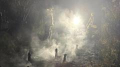 Nature reserve walkway 'severely damaged' in blaze