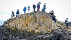 The Giant's Causeway Crowd Counter Glitch and the Hubris of Visual Recognition
