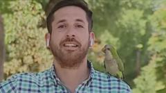 Parrot steals Chilean reporters earphone