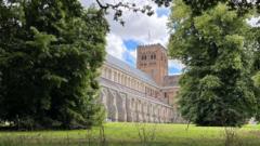 Tree deserts put health at risk, says charity