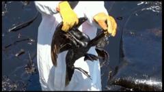 Ave sujaloteria federal caixa resultadospetróleo é erguida por pessoa com luva preta