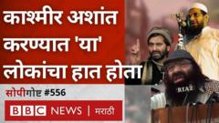 द काश्मीर फाईल्स, काश्मीर