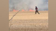 Firefighters called to tackle field blaze