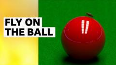 Buzz off! Fly interrupts play at snooker Masters