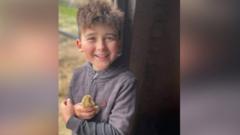 Boy, nine, killed in family farm accident