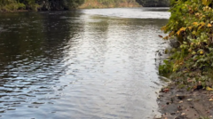 Police searching river for missing boy