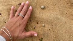 Marble-sized balls force Sydney beaches to close