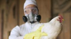 Trump administration trying to rehire  USDA bird flu officials it fired