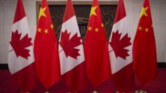 中國與加拿大國旗（資料圖片）
