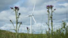 Wind farm permission to be quashed following court challenge