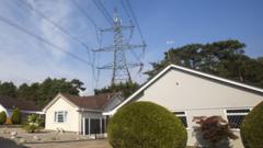 Bills to rise by 80p to fund discounts for homes near pylons