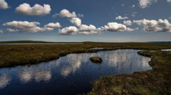 Scottish bog gets world heritage status