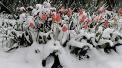 Aprilski sneg zavejao Srbiju