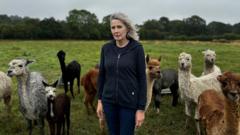 Alpaca farmer fears for closure amid pylons plans