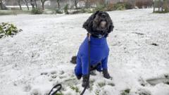 Your pictures of Sunday morning snow across UK