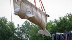 Watch: Beluga whales rescued from closed Canadian marine park arrive in US