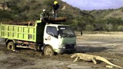Komodo dragon and truck