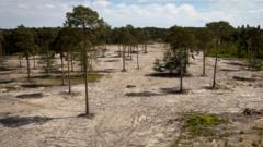 Village sees 50 days without rain during summer heatwave