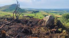 Stafford grassland fire sparked by fireworks near miss