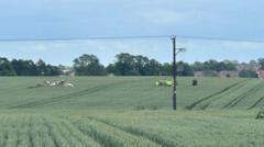 Two people treated as small plane crashes in field