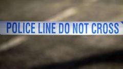 Boy, 6, dies after being hit by car