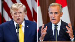 How Canada could hit back to hurt the US economy - and Trump
