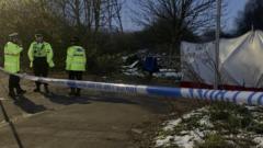 Baby's remains found in field near motorway bridge