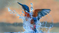 Your pictures of Scotland