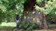 Tree shortages in coastal towns 'risking people's health'