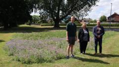 Wildflowers planted for £75 as council quotes £2k