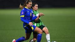 NI 'have to bounce back' against Bosnia - Andrews