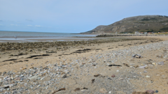 Is Raw Sewage Polluting Our Beaches?