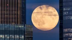 Stargazers around the world catch supermoon