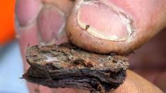 The 'fiddly and frustrating' work removing 10,000 coins from Giant's Causeway columns