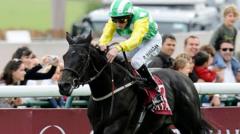 What Led to the Tragic Passing of Leading Stallion Wootton Bassett at 17?