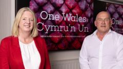 MPs to question WRU bosses over game's future