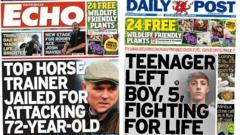 Horse trainer jailed and teen left boy fighting for life