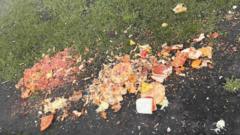 Car park food dumping 'causing infestation'